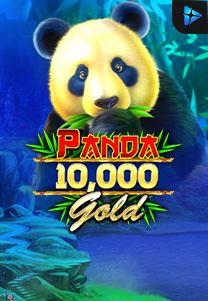 Bocoran RTP Panda Gold 10.000 di Timur188 Generator RTP Live Slot Resmi dan Akurat