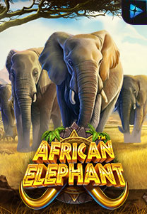 Bocoran RTP African Elephant di Timur188 Generator RTP Live Slot Resmi dan Akurat