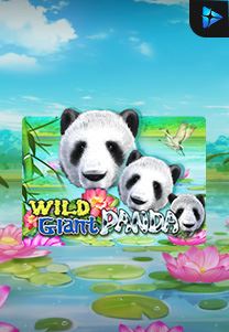Bocoran RTP Wild Giant Panda di Timur188 Generator RTP Live Slot Resmi dan Akurat