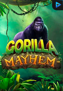 Bocoran RTP Gorilla Mayhem di Timur188 Generator RTP Live Slot Resmi dan Akurat